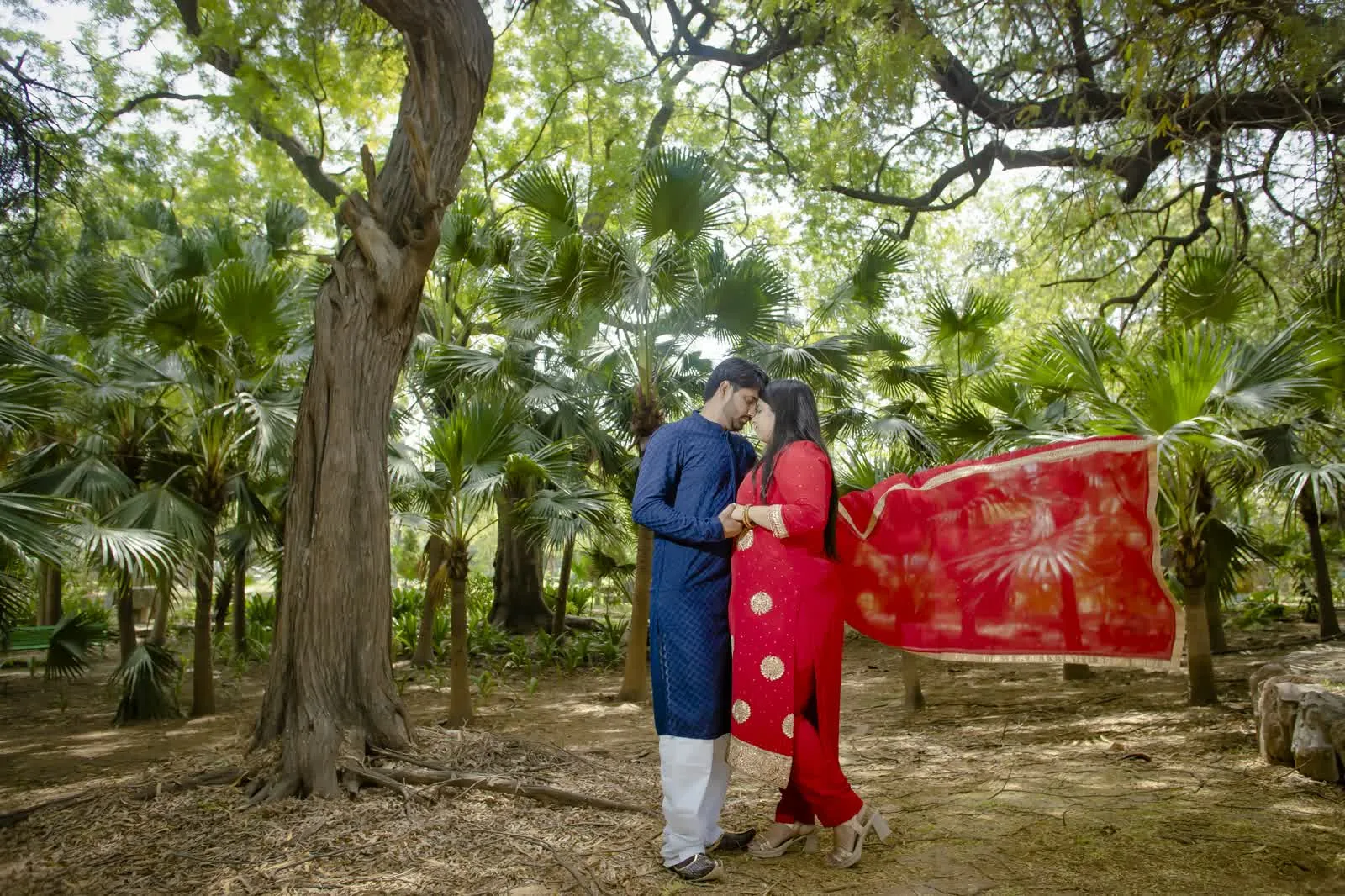 Bride-to-be spreading a red dupatta under an old tree during a pre-wedding shoot